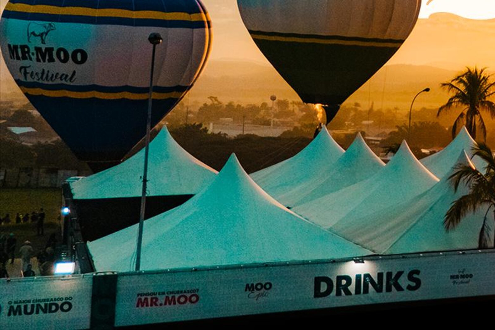 Mr. Moo Festival